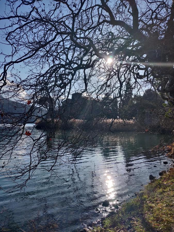 Ferienwohnung La Finestra Sul Brenta Lasino Exterior foto
